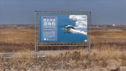 圖片 4.jpg